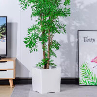 Chậu vuông cỡ lớn,Chậu nhựa trồng cây,hoa Nhập Khẩu cao cấp dày mang phong cách đơn giản,sang trọng mã MX5000