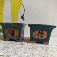 Chậu vuông men xanh - Chậu hoạ tiết chữ nổi - Chậu trồng cây cảnh bonsai mini