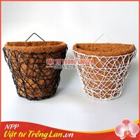 Chậu xơ dừa khung sắt trồng Lan dạng ốp tường phi 24