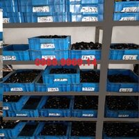 Chày cối Khuôn mũi đột Máy đột CH-60 CH-70 (shopgiare)