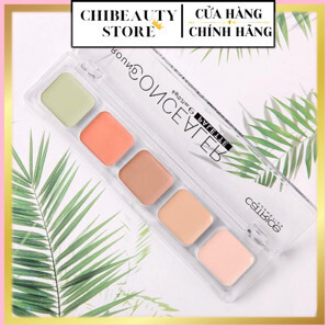 Che Khuyết Điểm CATRICE allround Concealer Palette 5 ô