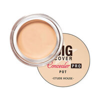 Che Khuyết Điểm ETUDE HOUSE Big Cover Pot Concealer Pro 4g