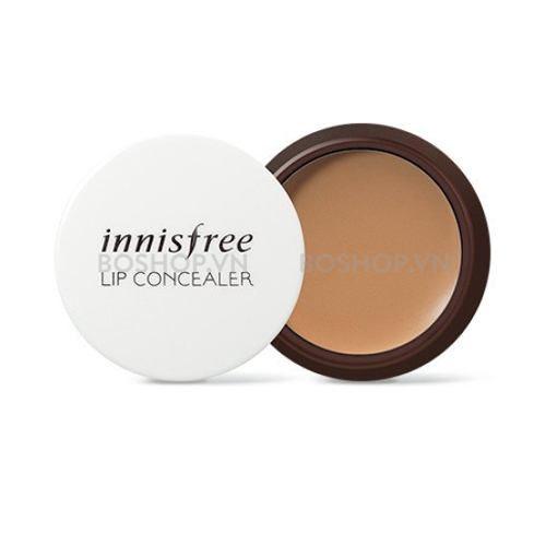 Che khuyết điểm môi innisfree Tapping Lip Concealer