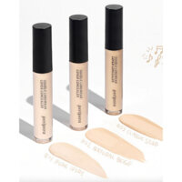 Che Khuyết Điểm Peripera Double Longwear Cover Concealer