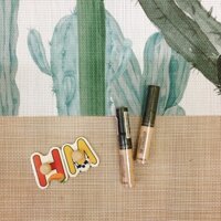 @Che khuyết điểm The Saem Cover Perfection Tip Concealer 1.5