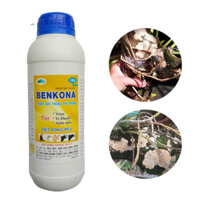Chế phẩm trừ nấm bệnh cho lan và xử lý giá thể trồng lan BENKONA 1 Lít