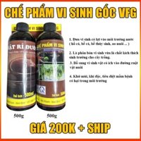 Chế Phẩm Vi Sinh Gốc VFG