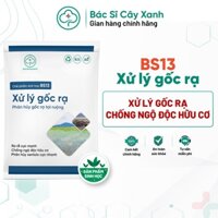 Chế phẩm xử lý gốc rạ, thay vôi, hạ phèn, khử chua, ra rễ mạnh, mập rễ, chống ngộ độc hữu cơ BS13 500g NSX Bacsicayxanh