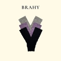 [CHE TÊN] Combo 3 quần lót nữ sexy gợi cảm vải ren cao cấp BRAHY Q10