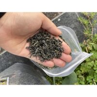 Chè Trung Du cổ thụ Mộc Châu ( Gói 300gr) tặng kèm 2 thanh bánh sữa Mộc Châu