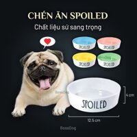 Chén bát ăn cho chó mèo - Tô gốm sứ tráng men cao cấp | BossDog