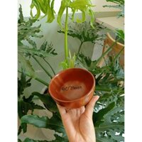 Chén bát ăn cơm bằng gỗ keo tự nhiên