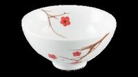 Chén cơm - Daisy - Hồng Mai