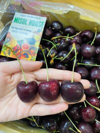 Cherry Chile size 2J - Hộp 500gr