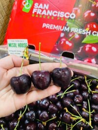 Cherry ChiLe size 2J -kg