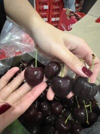 Cherry Chile size 3J - kg