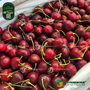 Cherry đỏ New Zealand