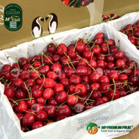 Cherry Đỏ Tasmania Úc Size 28-30 | Cerise