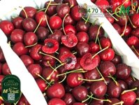 Cherry Đỏ Tasmania Úc Size 28-30 | Reid Fruits Since 1856