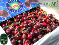 Cherry Đỏ Tasmania Úc Size 28-30 Hansen Orchards