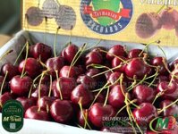 Cherry Đỏ Tasmania Úc Size 32-34 | Hansen Orchards - Hộp 2kg