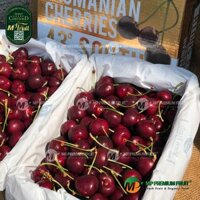 Cherry Đỏ Tasmania Úc Size 32-34 | 43° South