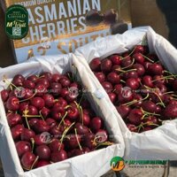 Cherry Đỏ Tasmania Úc Size 32-34 | 43° South - Hộp 2kg