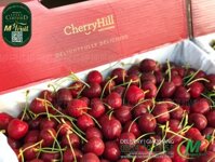 Cherry Đỏ Úc Size 28 - 30 | Cherry Hill Orchards