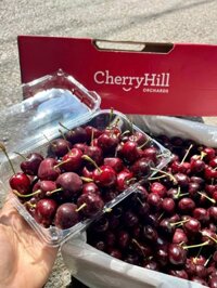 Cherry Hill Úc hộp 250gr