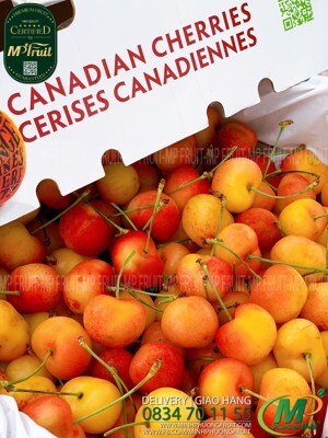 Cherry vàng Canada