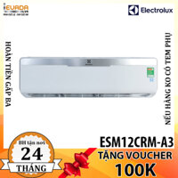(CHỈ BÁN HCM) Máy Lạnh Electrolux 1.5 HP ESM12CRM-A3