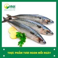 [CHỈ GIAO HÀ NỘI] Cá nục đông lạnh 1kg sạch ngon trợ giá mùa dịch - HNH Food Farm