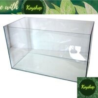 (Chỉ giao hỏa tốc HCM) Hồ kính đẹp 30x20x20 hồ thuỷ sinh ,hồ nuôi cá- Bể cá mini