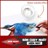 Chì nước 72 màu hộp giấy