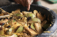 Chi phí nuôi đuông dừa bao nhiêu?