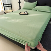 Chiếu   băng lạnh cao cấp