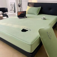 Chiếu băng lạnh Gấu Teddy