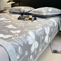 chiếu băng lạnh họa tiết