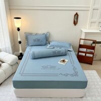 chiếu băng lạnh ice cool