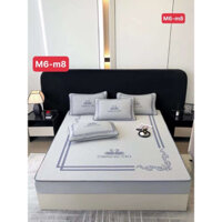 Chiếu băng lạnh Ice Cool