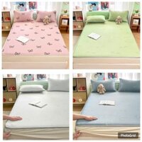 Chiếu băng lạnh ice cool latex