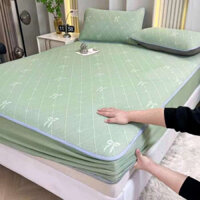 Chiếu Băng Lạnh (kèm ảnh thật)