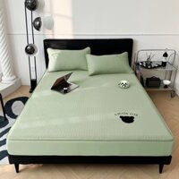 Chiếu Băng Lạnh Thêu Gấu Teddy