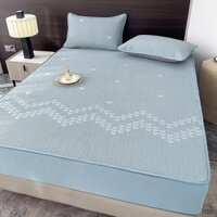 Chiếu băng lạnh vân tim- ICO COOL