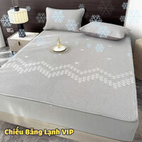 Chiếu băng lạnh VIP mùa hè