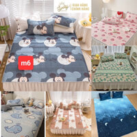 chiếu điều hoà 3D latex,chiếu đũi trần bông kèm 2 vỏ gối đầu