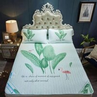 Chiếu điều hoà 3D