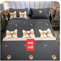 Chiếu điều hòa , bộ ga gối đũi vải thun lạnh trần bông, chiếu đũi chống xe dịch tặng kèm 2 vỏ gối