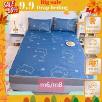 Chiếu điều hòa các KT 1m6 1m8  mẫu cá heo xanh nhạt DRAP BEDING