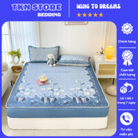 Chiếu điều hoà cao su 5D Tencel Latex trần tim loại 1 dày dặn , Chiếu điều hòa bo chun chất liệu mềm mại thoáng mát